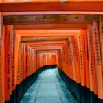 Kyoto and Nara Private Day Trip (Departure from Osaka/Kyoto) - Arashiyama’s bamboo paths