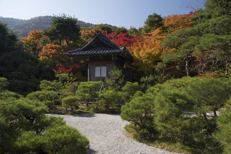 Kyoto Arashiyama Bamboo Forest & Togetsukyo Bridge Half-Day Small Group Tour - Togetsukyo Bridge as the second stop