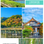 Kyoto Arashiyama Full-Day Tour with Sagano Train & River Cruise - The Sagano Scenic Railway from a seat on the train