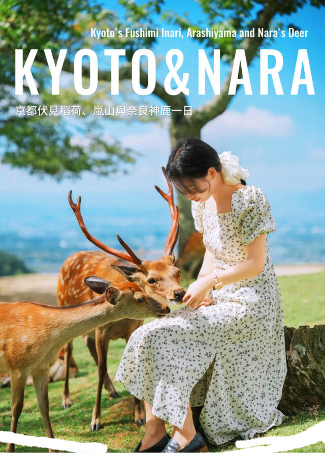 Kyoto, Arashiyama, Nara: Optional Sagano Scenic Railway, Monkey Park, Nara Deer, Fushimi Inari Shrine One-Day Tour (Departing from Osaka) - Nara Park: deer first, details later