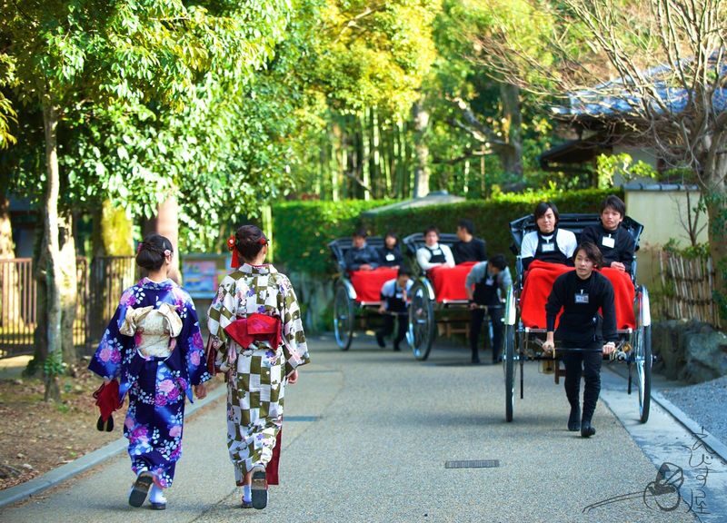Kyoto Arashiyama Rickshaw Tour - Following the bamboo path
