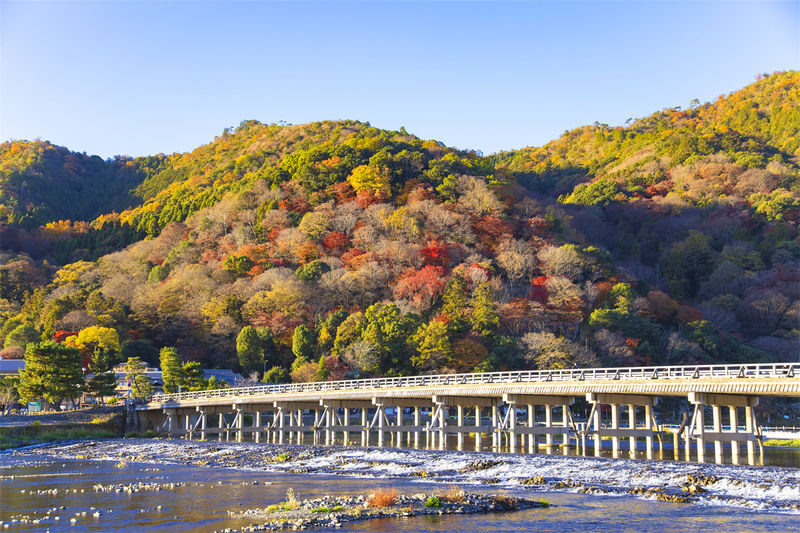 Kyoto Arashiyama, Sanzen-in, and Kifune Shrine Day Tour (Driver-Guide Service) - Kifune Shrine: red lanterns in the northern hills