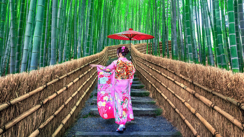 Kyoto Arashiyama & Sanzen-in Small Group Day Tour (Driver-Guide Service) - Sanzen-in: moss, water and a quieter pace
