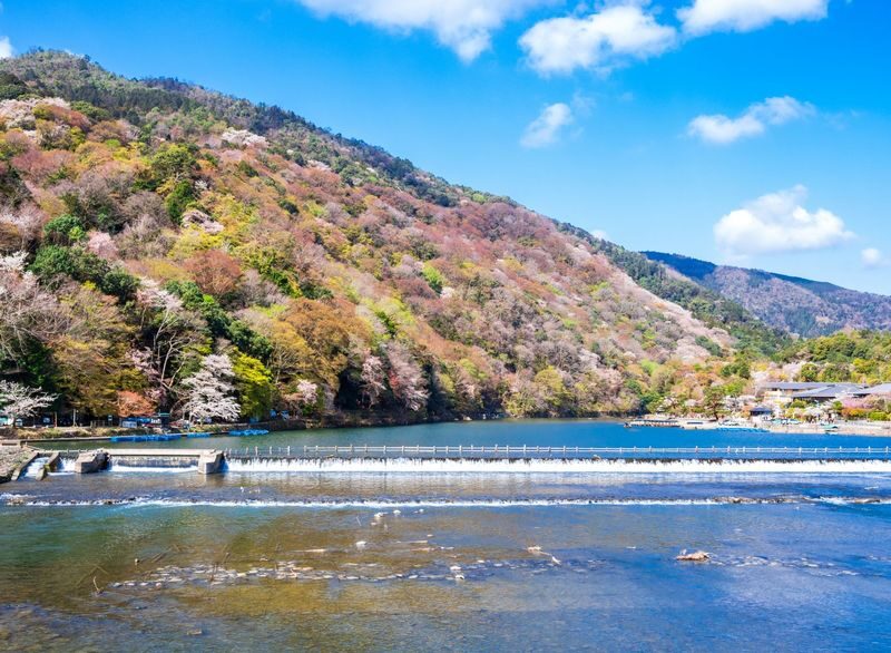 Kyoto Arashiyama Scenic Beauty and Cultural Exploration with Nara Cute Deer Fun Experience Day Tour - Nara Park: a close encounter, with an hour on the clock