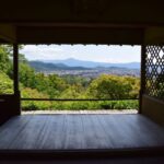 Kyoto Arashiyama Walking Tour: Sagano Bamboo Grove & Tenryu-ji - Walking through the Sagano Bamboo Grove