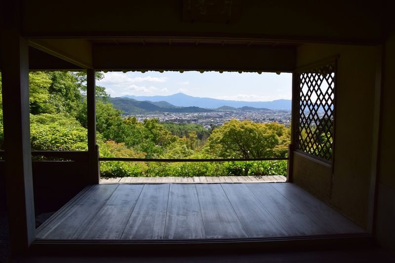 Kyoto Arashiyama Walking Tour: Sagano Bamboo Grove & Tenryu-ji - Walking through the Sagano Bamboo Grove