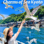 Kyoto Coast Fairytale Journey: Sea Train & Amanohashidate & Ine Funaya One-Day Tour - Amanohashidate: sand, pines, and a dragon in the sky