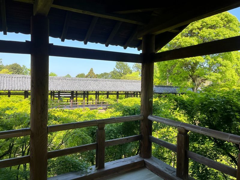 Kyoto E-Bike Tour of Hidden Gems and Temples South Route - Electric bikes make the half-day more approachable