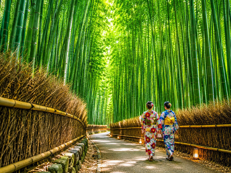 Kyoto Fushimi Inari, Arashiyama Bamboo Forest, Kiyomizu-dera Temple Day Trip from Nagoya (Choose one: A5 Kobe Beef Lunch or Pork Shabu-shabu) - Fushimi Inari Taisha: a striking first stop