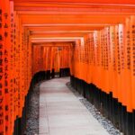 Kyoto Fushimi Inari & Arashiyama Bamboo Grove Morning Private Tour - What to expect at Fushimi Inari Taisha
