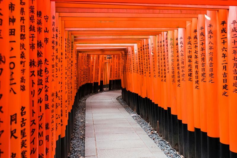 Kyoto Fushimi Inari & Arashiyama Bamboo Grove Morning Private Tour - What to expect at Fushimi Inari Taisha