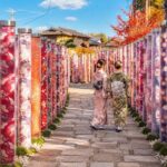 Kyoto Fushimi Inari Shrine Senbon Torii & Arashiyama Bamboo Forest Togetsukyo Bridge & Nara Park Todai-ji Temple One-Day Tour [Can upgrade to A5 Wagyu "Kobe Beef" (Departing from Osaka/Kyoto)] - Nara Park: deer, temples and a real time limit