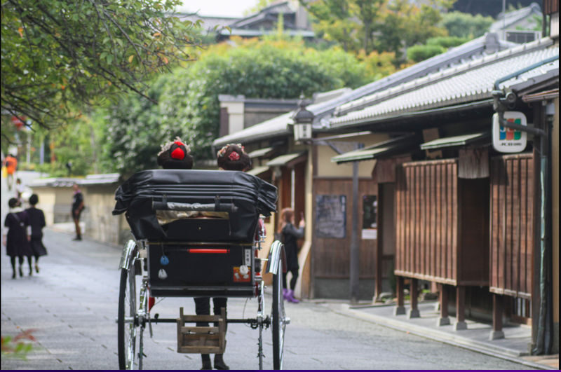 Kyoto Geisha Districts Half-Day Private Cultural Tour - Starting at Gion-Shijo Station