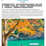 Kyoto Hozugawa River Cruise & Sagano Train Experience - The Sagano train experience