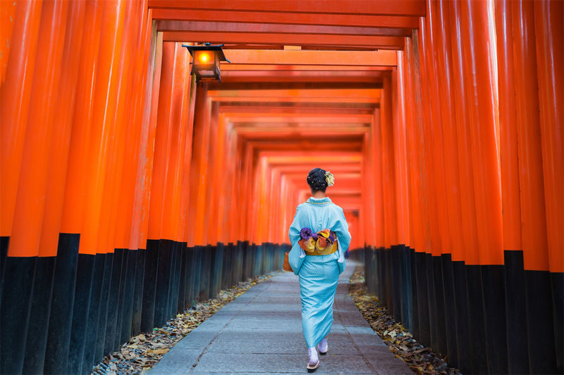 Kyoto In-Depth Tour: Nijo Castle + Kinkaku-ji (Golden Pavilion) + Fushimi Inari-taisha Shrine + Arashiyama Tenryu-ji Temple & Bamboo Grove One Day Tour | Departure from Osaka/Kyoto Available - Kinkaku-ji: a short stop for a famous reflection