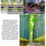 Kyoto Kinkaku-ji Temple, Arashiyama Free Stroll & Night Cherry Blossom/Autumn Leaves Illumination Arashiyama Sagano Romantic Train Day Trip (Departing from Osaka/Kyoto) - The illuminated train is the day’s unusual finish