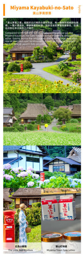 Kyoto Miyama Thatched Village & Amanohashidate & Ine Funaya One-Day Tour [Limited Miyama Water Release Ceremony/Snow Lantern Lighting] | Depart from Osaka - Ine’s fishing village and waterside homes