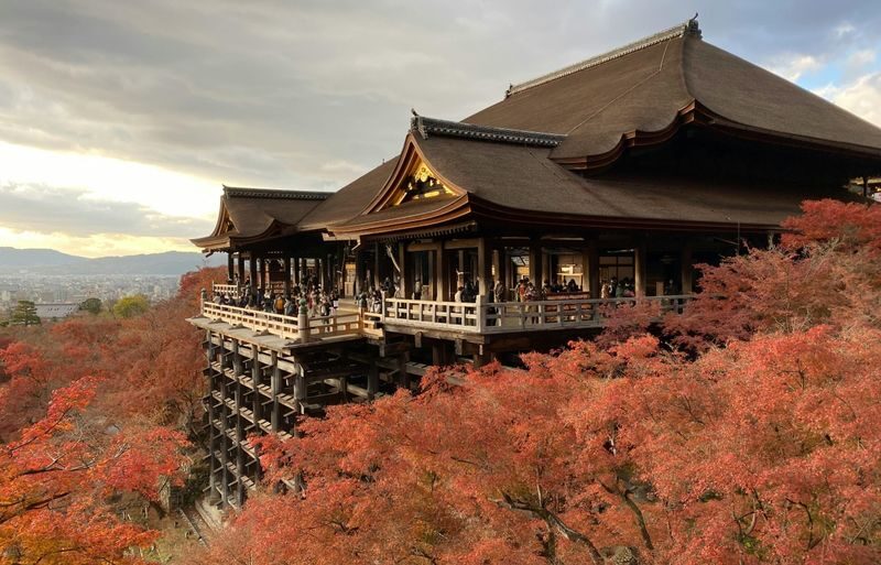 Kyoto & Nara & Amanohashidate 2-Day Tour - Free Shrimp Sticks for Feeding Seagulls (Accommodation Not Included) - Fushimi Inari’s gates, then Nara’s deer