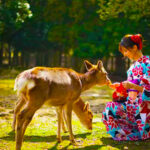 Kyoto, Nara, and Arashiyama Small Group Day Tour (Optional Hotel Pick-up and Private Charter) - Nara Park: deer, space, and a little patience
