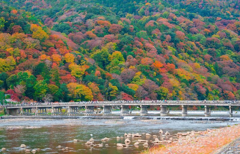 Kyoto & Nara Day Tour: Sagano Scenic Railway & Nara Park & Fushimi Inari Taisha Thousand Torii Gates & Togetsukyo Bridge & Bamboo Grove & Kimono Forest (Departing from Osaka) - Fushimi Inari: how far to walk beneath the gates