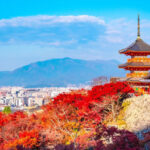 Kyoto Nara Day Trip [with Fried Chicken Set Meal] - Kiyomizu-dera Temple, Fushimi Inari-taisha Shrine, Nara Park, Todai-ji Temple Day Trip (Pick-up available in Osaka and Kyoto) - Meeting in Osaka or Kyoto