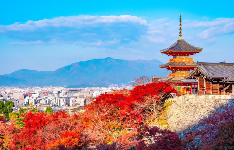 Kyoto Nara Day Trip [with Fried Chicken Set Meal] - Kiyomizu-dera Temple, Fushimi Inari-taisha Shrine, Nara Park, Todai-ji Temple Day Trip (Pick-up available in Osaka and Kyoto) - Meeting in Osaka or Kyoto