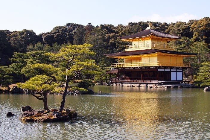 Kyoto & Nara Full-Day Private Guided Tour with Transfers - Nara Park and the Great Buddha Hall