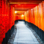 Kyoto & Nara Park & Arashiyama Day Trip (Optional Departure from Osaka or Kyoto) - Kyoto’s historic atmosphere, with a guide to set the scene
