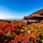Kyoto Private Tour: Custom Highlights with a Licensed Guide - Choosing between four, six, and eight hours