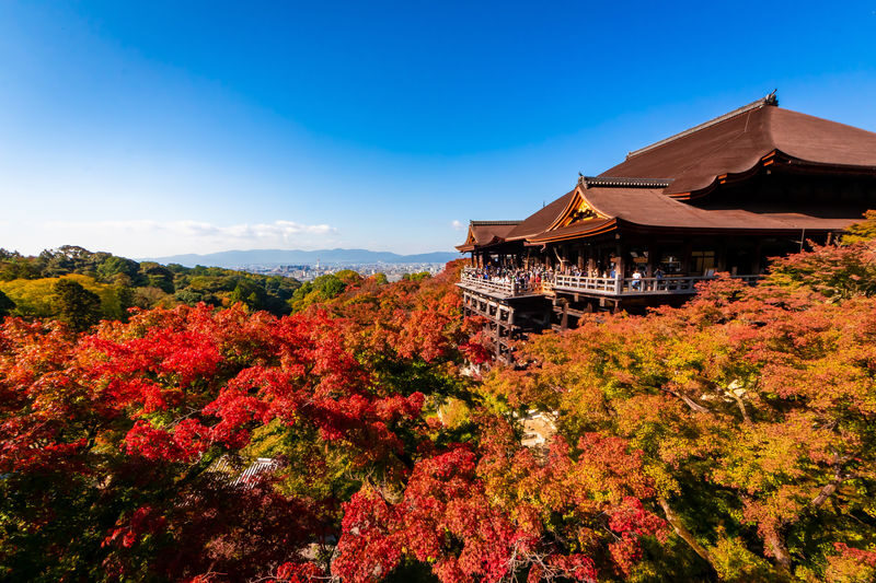 Kyoto Private Tour: Custom Highlights with a Licensed Guide - Choosing between four, six, and eight hours