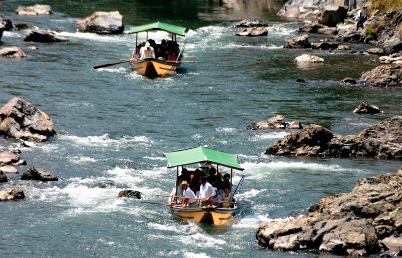 Kyoto Sagano Train & Hozugawa River Cruise Full-Day Tour - The Sagano train: a rail-side view