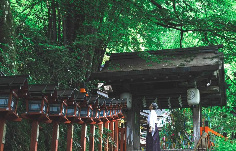 Kyoto Sanzen-in, Kifune Shrine, and Arashiyama Small Group Day Tour (Driver-Guide Service) - Sanzen-in: a quieter temple stop