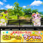 Kyoto Tango Coast Secret: Amanohashidate, Ine Funaya, Ine Bay Day Trip (Departing from Osaka or Kyoto) - Ine’s funaya bring the village into focus