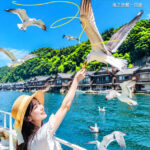 Kyoto Tangos Top Three Selected Routes: Amanohashidate Coastal Secret, Sea Train, and Miyama Fairytale Journey - Amanohashidate: a sandbar worth seeing from two angles