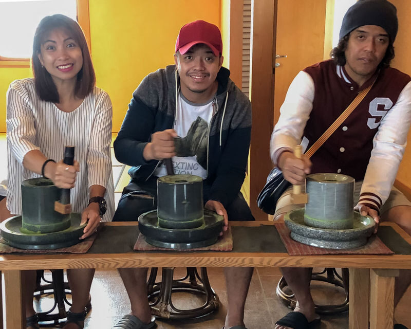Kyoto Uji Half-Day Small Group Matcha & Tea Ceremony Tour - Matcha, botany, and the value of a good guide