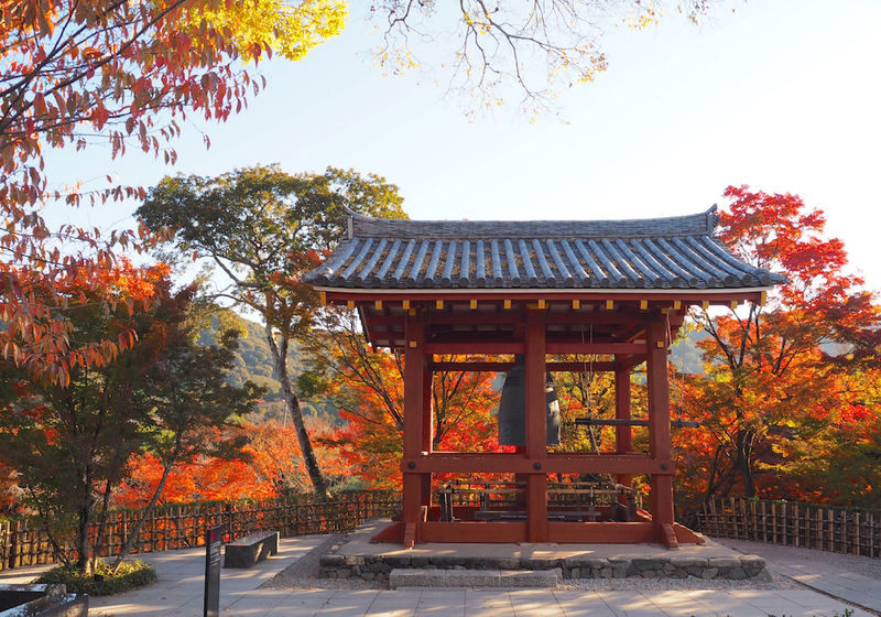 Kyoto Uji Matcha Experience & Nara Private 1-Day Tour - Byodoin: a temple you may recognize from your pocket