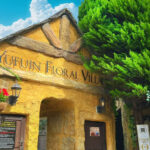 Kyushu Fukuoka Classic Day Tour | Nyoirin-ji Temple & Mt. Yufu & Yufuin & Kinrin Lake & Umi Jigoku (Sea Hell) & Kamado Jigoku (Oven Hell) Day Tour (Chinese and English Tour Guides / Departure from Fukuoka) - Nyoirin-ji, where the frogs take over