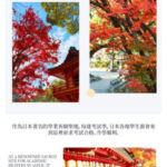 Kyushu Fukuoka & Saga Autumn Leaves One-Day Tour | Dazaifu Optional Kimono & Kyu-An & Night Maple - Daikouzenji, an old temple on the mountainside