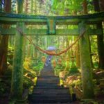 Kyushu Hiking Tour | Kamishikimi Kumanoimasu Shrine & Mount Aso Kusasenri & Kurokawa Onsen & Free Crater Shuttle Bus (Departing from Kumamoto/Fukuoka) - Mount Aso, with access subject to change