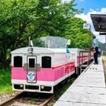Kyushu Miyazaki | Takachiho Gorge, Takachiho Small Train, Forest Secret Cafe, Amano Iwato Day Trip | Optional Takachiho Boat Tour (Departing from Fukuoka) - Takachiho Gorge: cliffs, water and a short walk