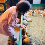 Kyushu Natural Zoological Park and Yufuin Full-Day Wildlife Tour - Mount Yufu is a quick scenic pause