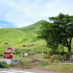 Kyushu Oita Day Trip: Natural Zoo & Mt. Yufu & Yufuin & Beppu Sea Hell - At Kyushu African Safari, take your time
