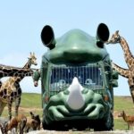 Kyushu | Oita Kyushu Natural Animal Park/Beppu Sea Hell Hot Spring/Yufuin/Kinrin Lake Customized Chartered Day Tour - Beppu’s Sea Hell is beautiful, hot and brief