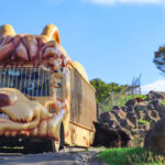 Kyushu Oita | Kyushu Natural Animal Park & Mt. Yufu & Yufuin & Kinrin Lake & Umi Jigoku (Ocean Hell) Day Trip (From Fukuoka) - African Safari: animals from the coach window