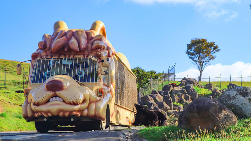 Kyushu Oita | Kyushu Natural Animal Park & Mt. Yufu & Yufuin & Kinrin Lake & Umi Jigoku (Ocean Hell) Day Trip (From Fukuoka) - African Safari: animals from the coach window