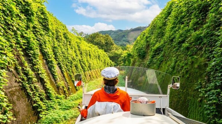 Kyushu Takachiho Secret One-Day Tour: Takachiho Railway + Takachiho Gorge (Boat Experience) + Amano Iwato Shrine - The morning at the gorge and Manai Falls