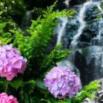 Kyushu Yanagawa & Itoshima Day Trip: Meoto Iwa & Ichiran Ramen & Yanagawa River Cruise & Shiraito Falls/Raizan Sennyoji Temple & Dazaifu Tenmangu Shrine (Departing from Fukuoka) - Oyster huts, or the promised ramen stop?