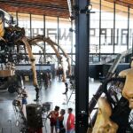 La Halle de la Machine Admission in Toulouse - The mechanical cow and the best time to arrive