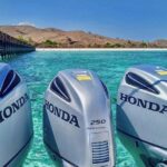Labuan Bajo Full-Day Speedboat Tour by East Cruise Komodo - Padar Island: a steep climb for a famous view