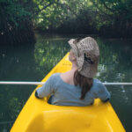 Lagoon Kayaking Tour from Negombo - What the two-hour outing involves
